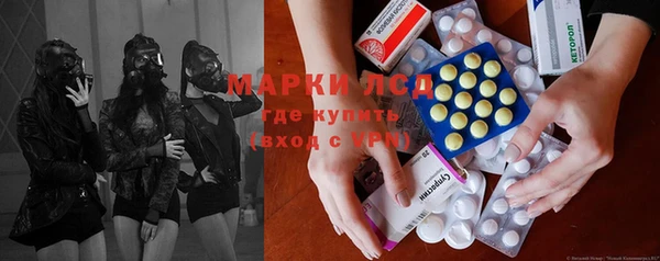 шишки Баксан