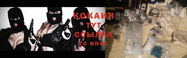 шишки Баксан