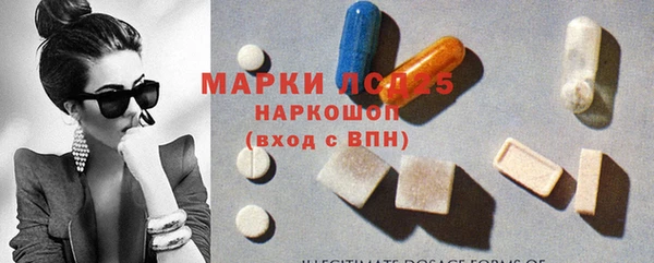 шишки Баксан