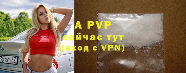 шишки Баксан