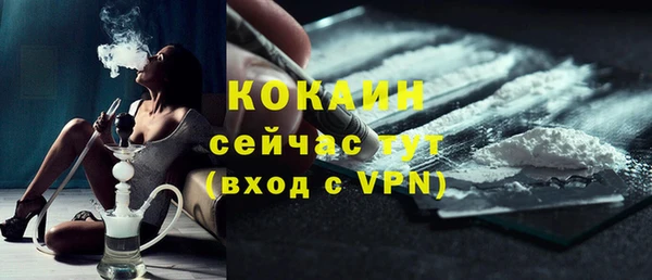 гидра Белокуриха
