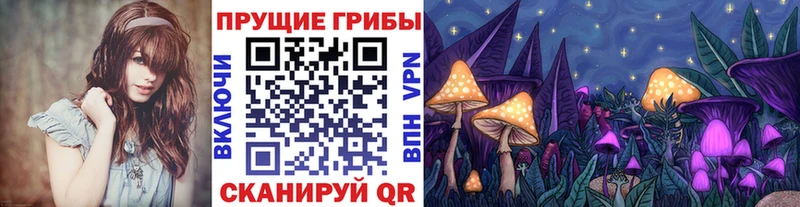 блэк спрут ONION  darknet клад  Галлюциногенные грибы Cubensis  Кемерово 
